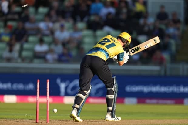 Kriket County: Yorkshire dan Somerset mencapai Hari Final dengan penuh gaya |  Jangkrik